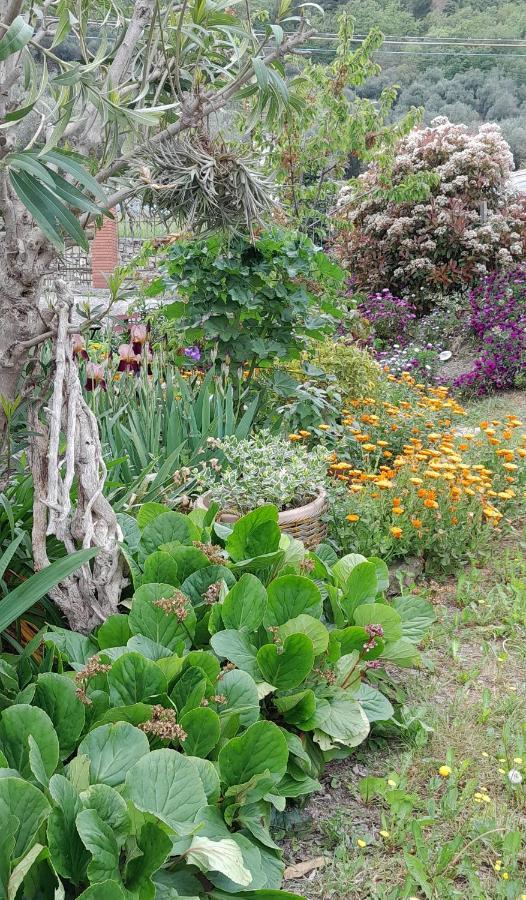 La Casa Nel Caruggio Apartman Diano Arentino Kültér fotó